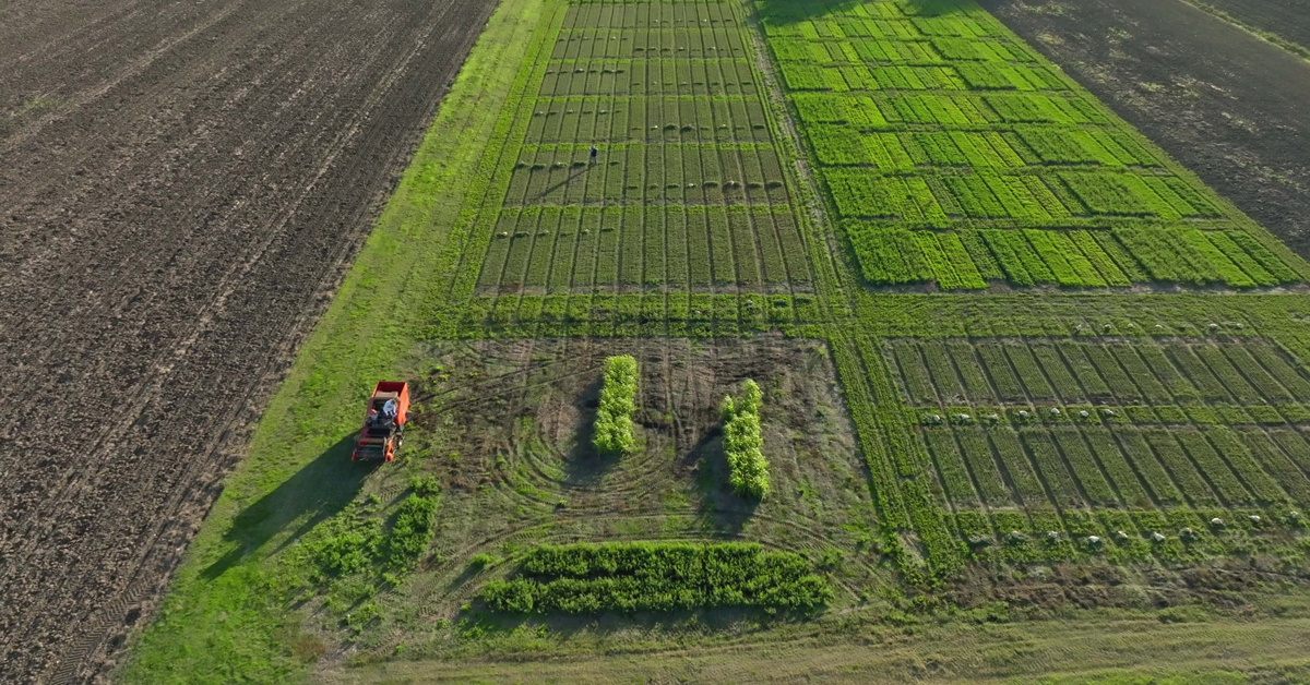 foto di campo FERTY: Feed fertilization crops and energy
