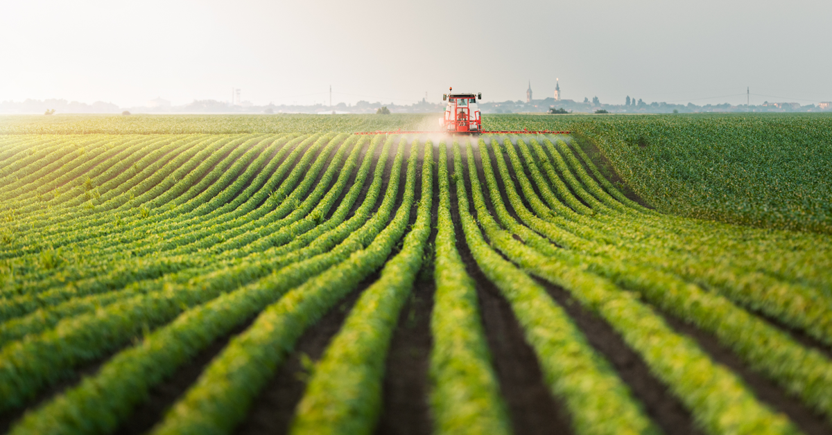 mietitrebbia su campo coltivato