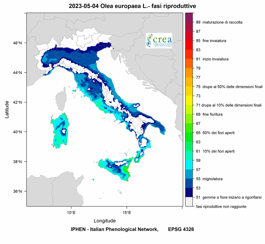 Figura 11- Fasi fenologiche della robinia - 6 aprile 2023